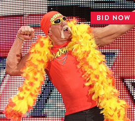 http://e.wwe.com/a/hBTMIJbB8L$g$B84-2uNdfqYk3e/cbht13